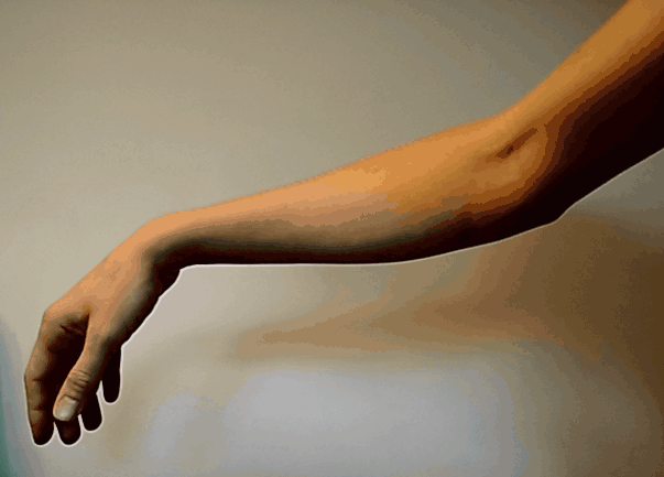 Wrist extensor stretch