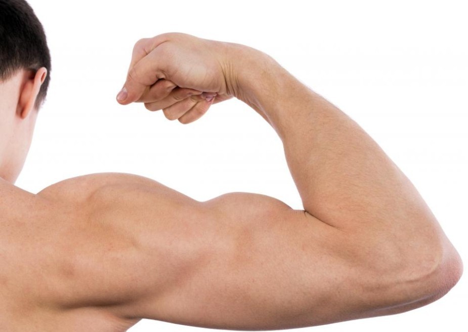 Muscle: One Biceps (Not Bicep!)